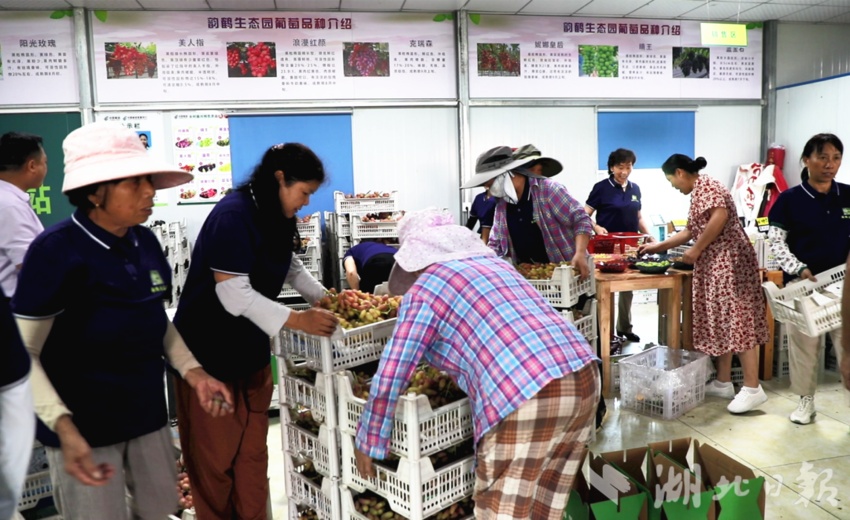 打牌网下载苹果